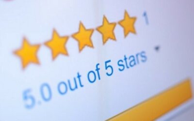 Reputation Management 101